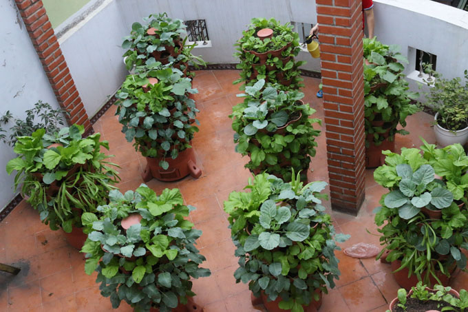 Mô hình tháp trồng rau hữu cơ Eco tại Đại La